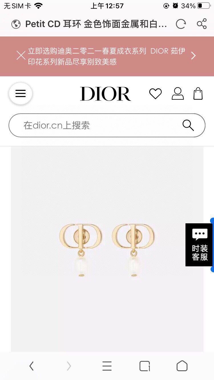 Christian Dior Earrings